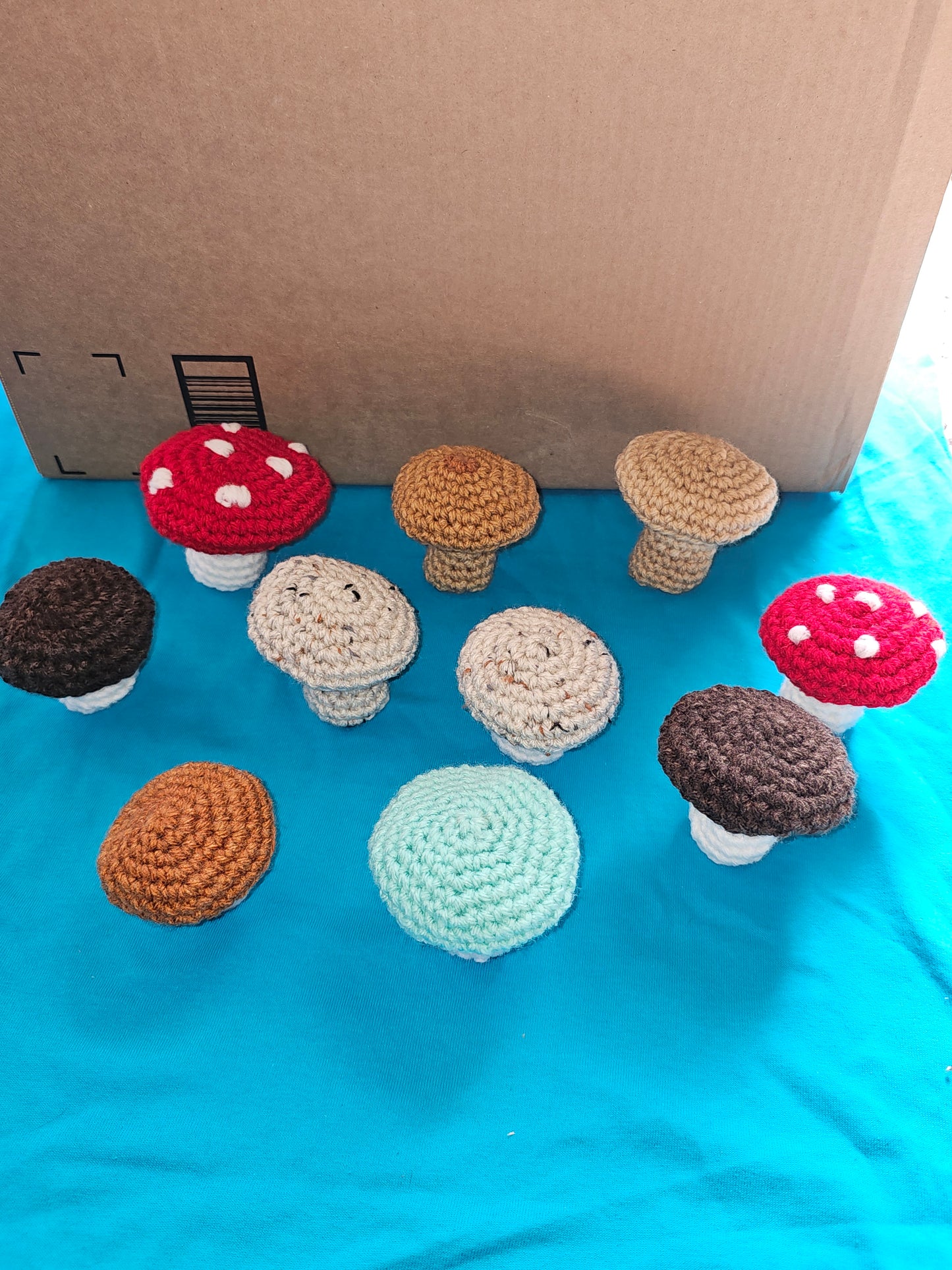 Crochet Mushrooms