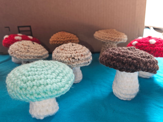 Crochet Mushrooms