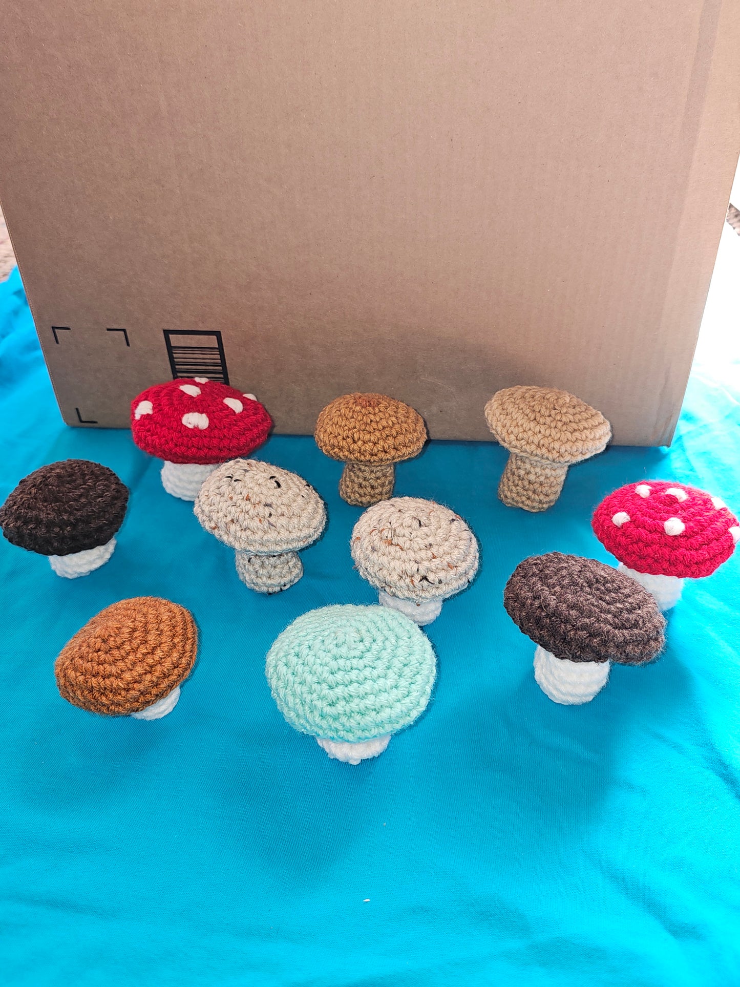 Crochet Mushrooms